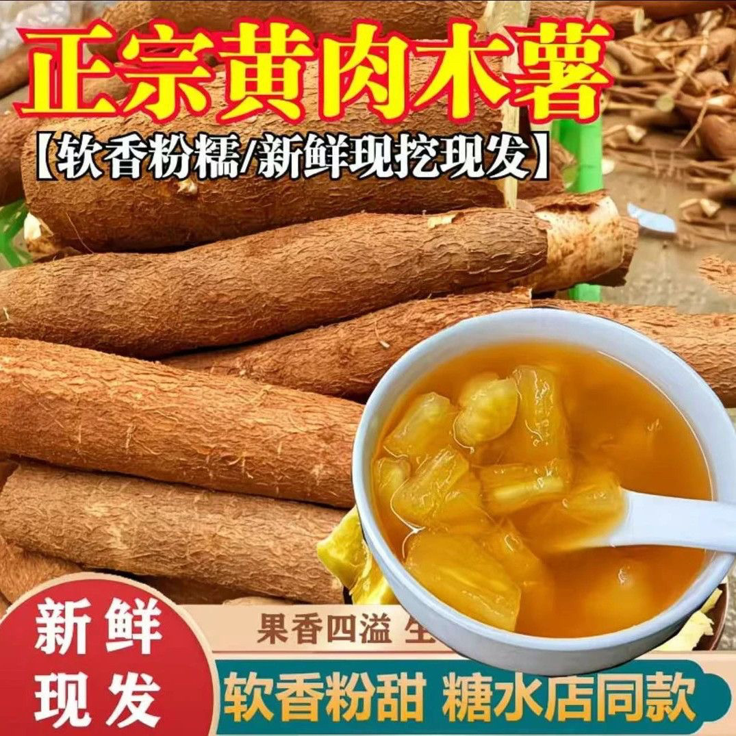 正宗广西黄金木薯新鲜现挖华南9号黄金木薯黄心奶茶糖水店专用图片