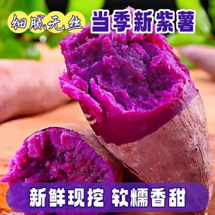 紫薯现挖紫心蜜薯红薯新鲜甜地瓜紫罗兰广西糯甜农家自种5/10斤装