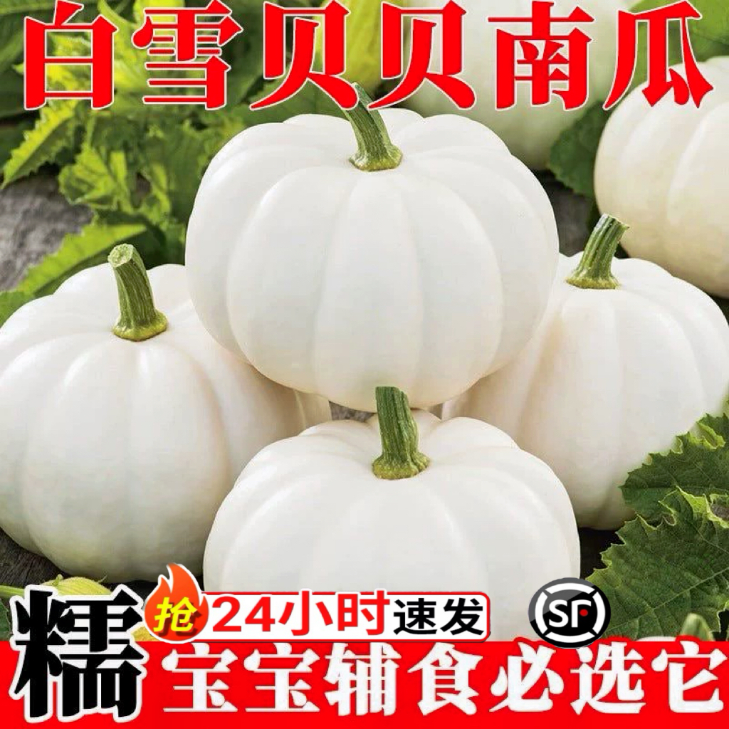 正宗广西奶油贝贝南瓜9斤