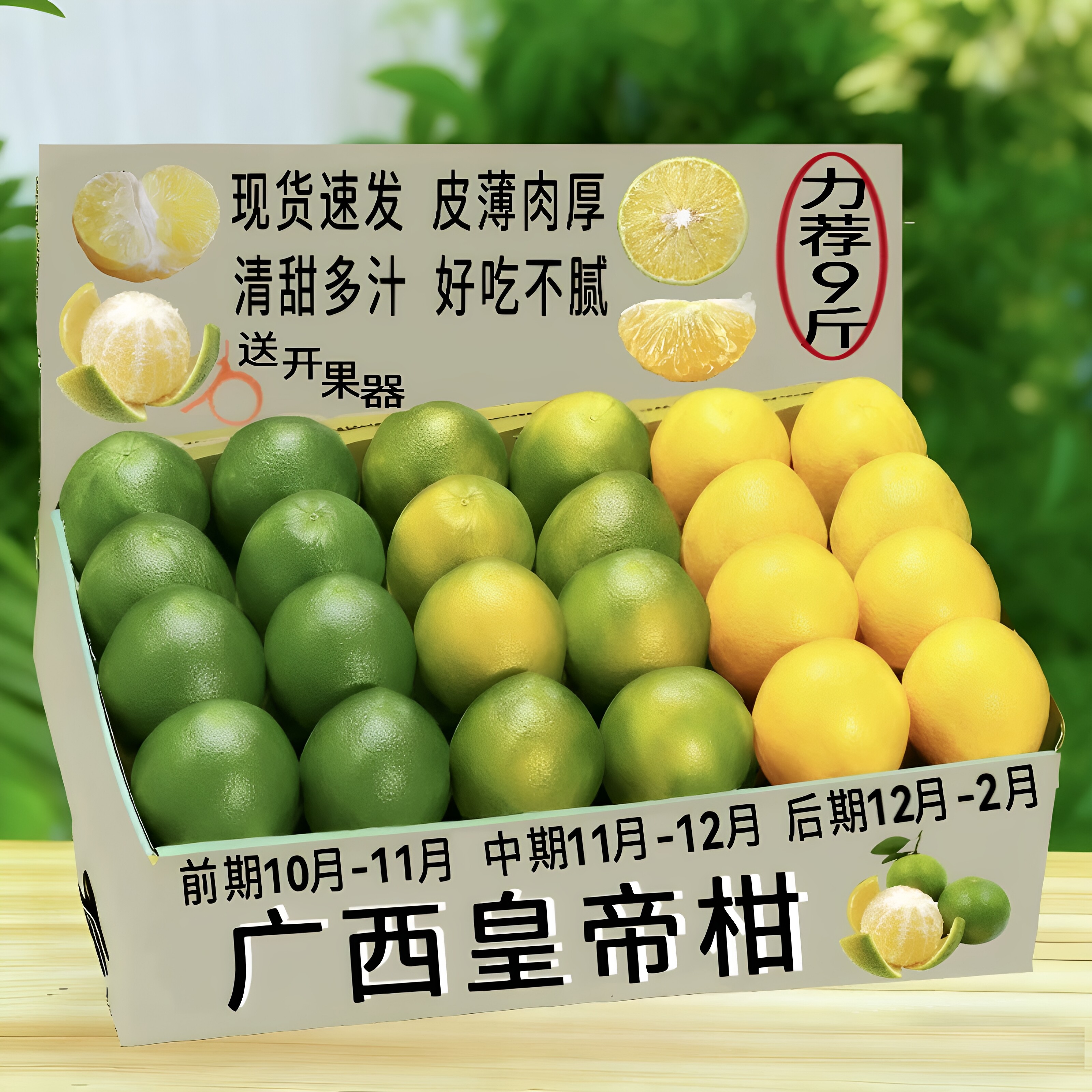 广西皇帝柑现摘当季新鲜9斤装