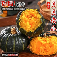 正宗板栗味贝贝南瓜新鲜现摘老南瓜粉糯孕妇宝宝辅食小南瓜顺丰