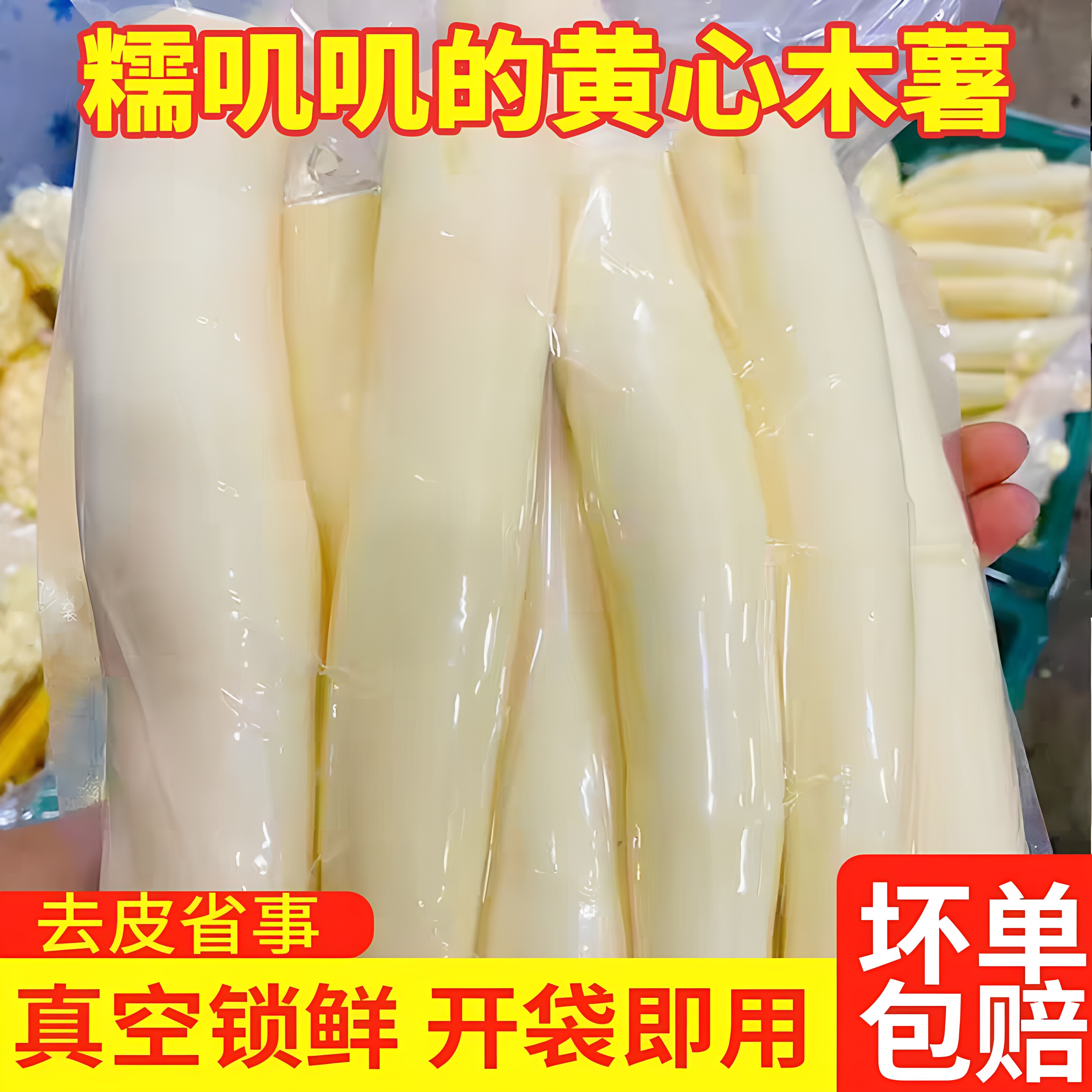 广西农家自种黄心去皮木薯现挖图片