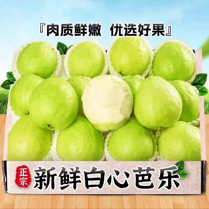 广西奶油白心芭乐新鲜现摘番石榴