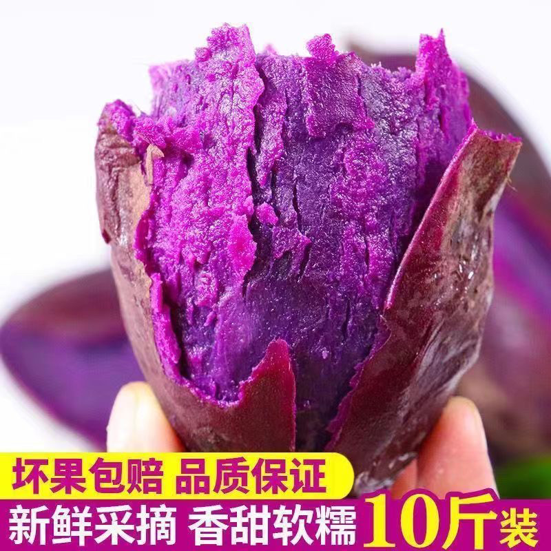 广西农家现挖紫心蜜薯甜糯