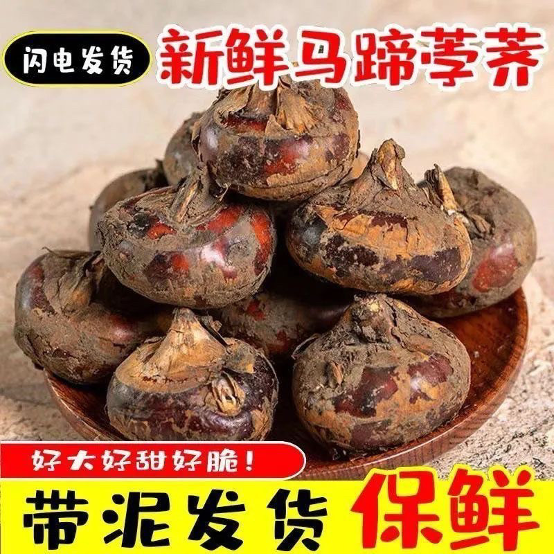 广西当季新鲜牛奶马蹄果农家自种地梨现挖现发脆甜多汁荸荠大果