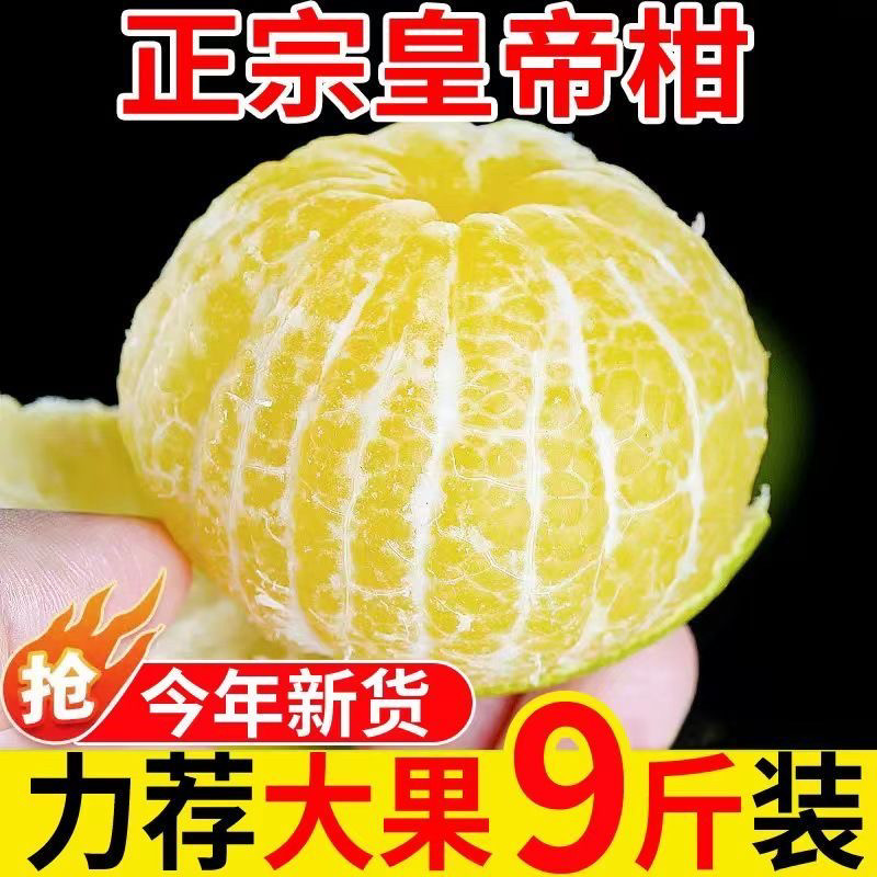 广西皇帝柑9斤装大果新鲜现摘黄帝柑桔当季孕妇水果贡柑橘子顺丰
