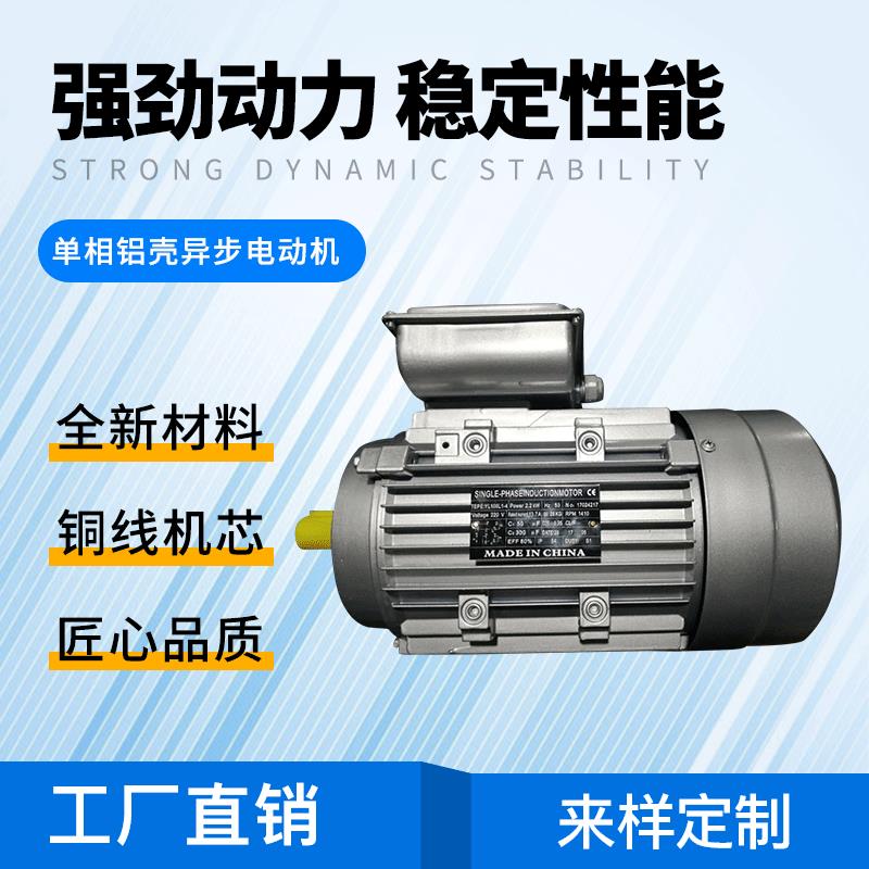 单相铝壳YL100-2.2-4电机(28轴)清洗机设备配套电动机厂家直供