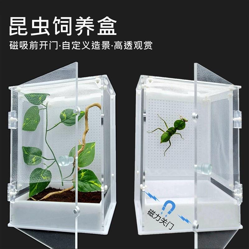 螳螂饲养盒磁吸开门造景活体昆虫树蛙爬虫M鸣虫跳蛛宠物饲养箱网