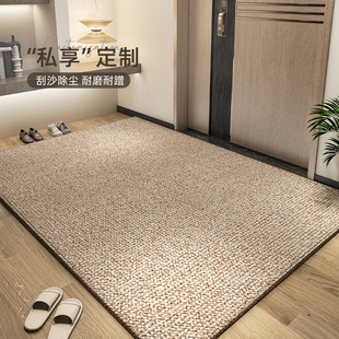 家用进门门口地毯耐脏免洗加厚防滑门外蹭脚 入户门地垫d2024新款