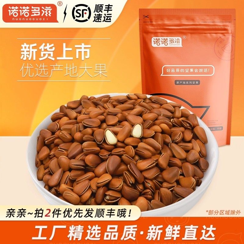诺诺多滋 松子特大东北开口松子孕妇零食坚果散装大颗粒500g新货