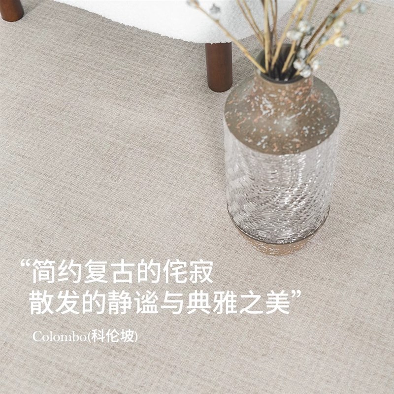 新款家用客厅地毯侘寂风卧室床边毯高级沙发茶几现代防水防滑地垫
