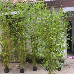 饰假竹子隔断屏风挡墙订婚宴席装 仿真竹子室内装 饰竹盆栽加密绿植