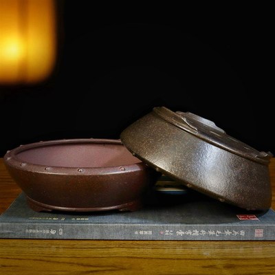 新款紫砂花盆文人专用盆景盆精品多肉菖蒲云竹金弹子绿植桌台室内