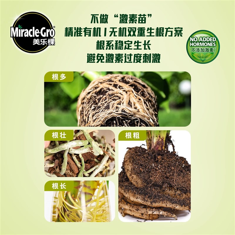 美乐棵天南星科生根液龟背芋花烛海芋生根剂壮苗强力植物生根水培