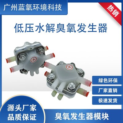 厂家直销低压水电解臭氧发生器臭氧模组污水处理