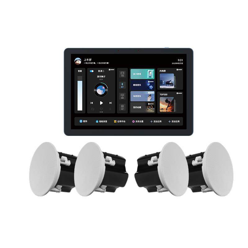 家庭背景音乐主机系统套装全屋智能家居惠威吸顶喇叭音响箱