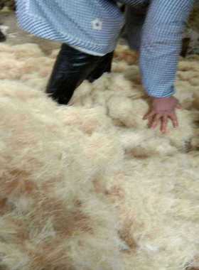 短切剑麻麻麻刀古建筑麻泥塑料麻刀白色灰麻刀水泥麻刀