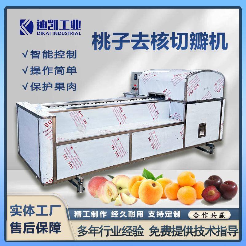 罐头加工黄桃去皮去核切瓣机 毛桃杏去核分瓣设备 李子油桃去核机