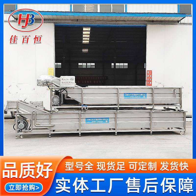 多功能荔枝洗果机 百香果清洗流水线 不锈钢果蔬加工气泡清洗机