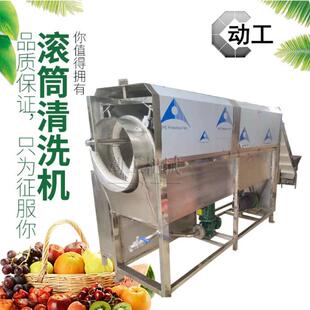 红薯毛刷清洗设备 商用咸菜卤菜包装袋清洗机 工业苹果洗果机