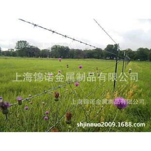 304不锈钢刀片刺网监狱防护各种规格刀片刺网镀锌刀片刺网