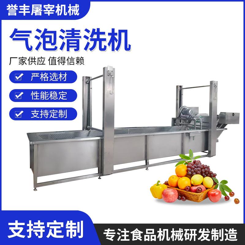 全自动多功能果蔬气泡清洗机瓜果桃子樱桃蓝莓苹果不锈钢清洗设备