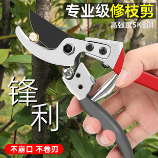 日本进口sk5剪树枝专用园艺剪刀粗枝果树修枝园林剪枝修花艺花剪