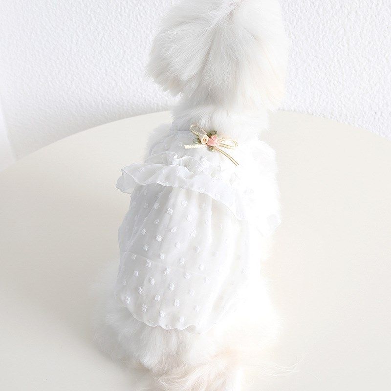 夏雪纺点点小花裙宠物猫咪狗狗两脚衣服泰迪连身裙子透气网纱吊带,宠物/宠物食品及用品,狗宠物服装/雨衣,淘宝优惠券,粉丝福利购,淘宝优惠卷