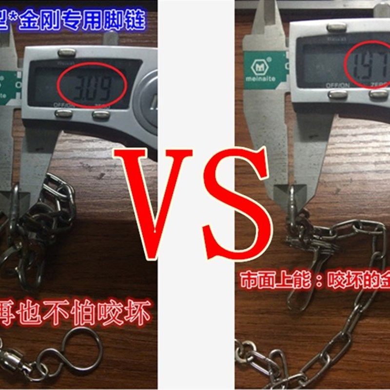 金刚专用鹦鹉大葵304不锈钢脚链/加厚加粗加固型脚环脚链/包邮