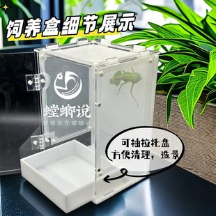 鸣虫生态饲养盒造景别墅鸣虫盒昆虫盒跳蛛蝈蝈螳螂饲养盒螳螂说