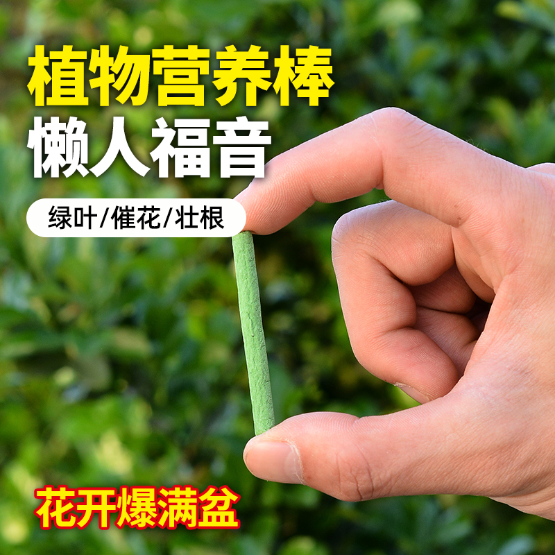 植物营养棒养花通用型缓释肥家庭用盆栽花卉多肉促花懒人专用神器