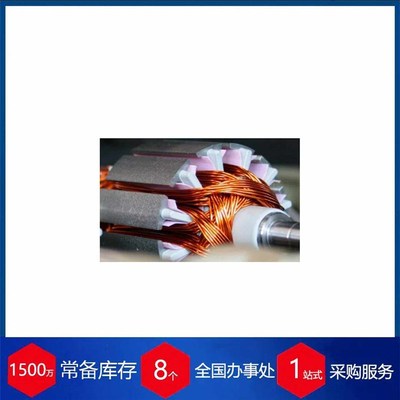 供应意大利EMB电机711132VR..24VDC/4R50Watt