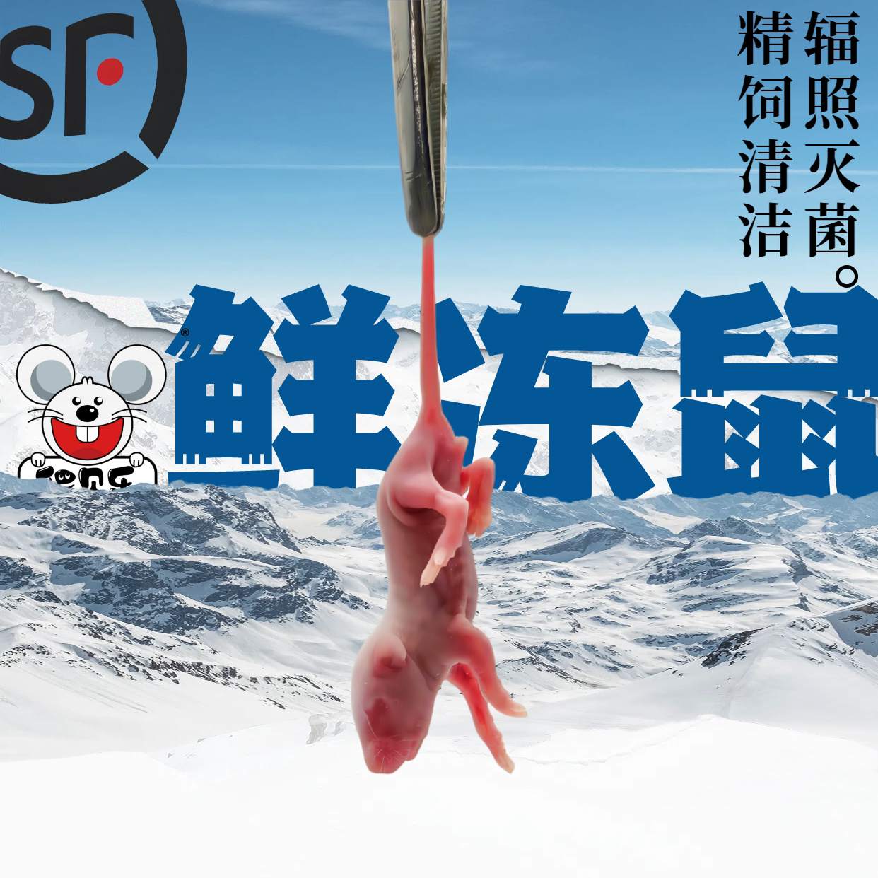 【顺丰】爬贝乐鲜速冻小白乳鼠冰红粉皮白霜喂蛇角蛙粮龟食灭菌装