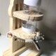 仓鼠水壶喝水壶支架仓鼠用品水壶喂水器滚珠架子造景实木芦丁鸡盆