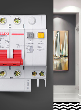 (漏保2P25A )漏电断路器  漏电保护器 漏电空气开关 双P
