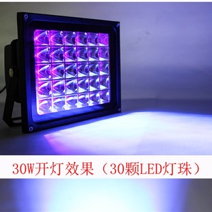 12v24v低压紫光灯带防水高亮紫色led荧光灯隐形字画黑光灯手影舞