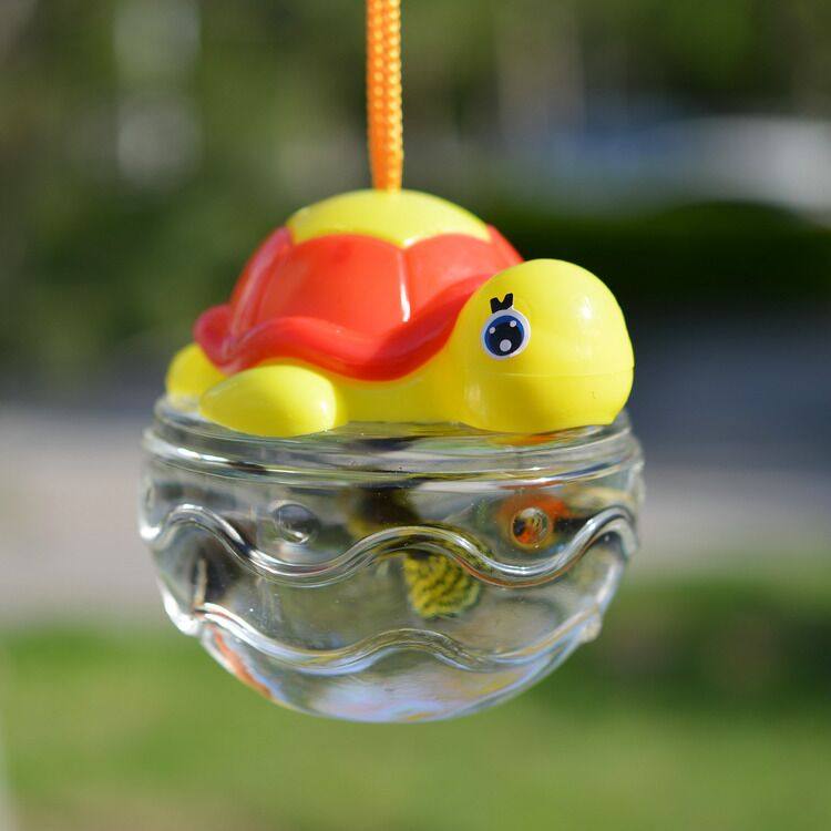 带气孔鱼瓶龟盒鱼缸乌龟瓶桌面鱼缸手提塑料运输摆摊专用宠物瓶子,宠物/宠物食品及用品,生态瓶/创意缸/微景缸,淘宝优惠券,粉丝福利购,淘宝优惠卷