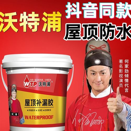 沃特浦防漏涂料放水胶堵漏王屋顶防水补漏材料房顶裂缝漏水专用胶