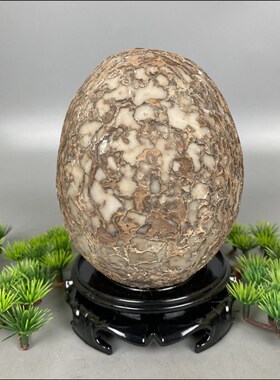 天然结核纹石蛋树皮石蛋恐龙石蛋原石摆件观赏石奇石收藏他山石头