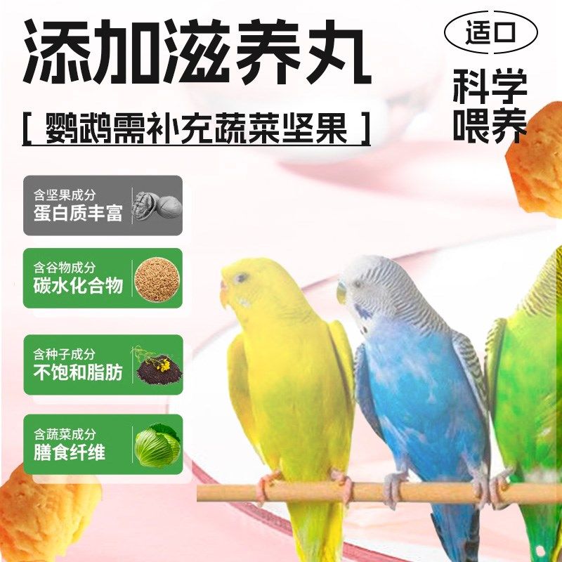 虎皮专用粮鹦鹉鸟粮饲料油葵果蔬零食冻干营养混合粮专用爱特尔,宠物/宠物食品及用品,鸟食,淘宝优惠券,粉丝福利购,淘宝优惠卷