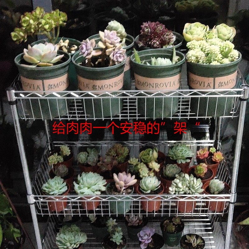 多肉专用花盆架玉露不锈钢色架阳台架子带轮可移动小推车网格花架