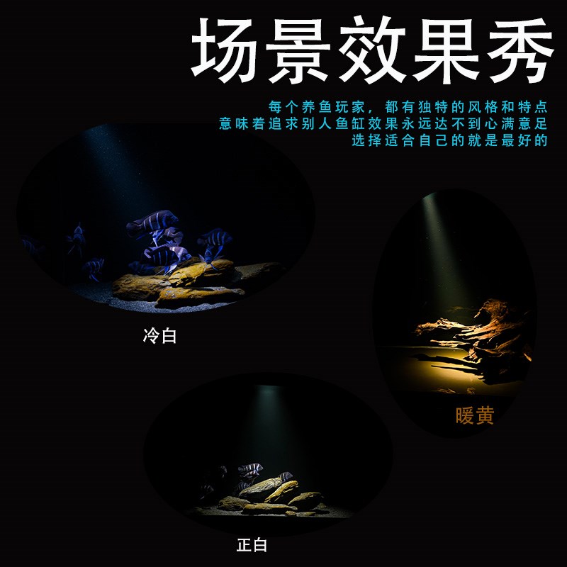 幽影鱼缸射灯三湖慈鲷南美缸原生溪流缸造景专用SR射灯水族支架