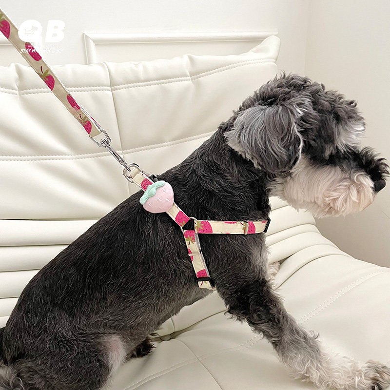 宠物狗狗雪纳瑞泰迪比熊博美玛尔济斯法斗通用胸背带牵引绳套装