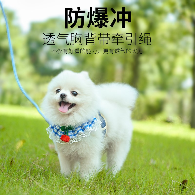狗狗猫咪牵引绳遛狗背心小型犬链子外出背带幼犬挣脱调节宠物用品