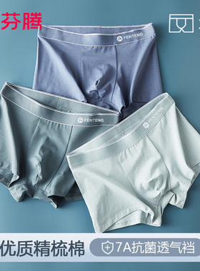 3条 芬腾纯棉抗菌男士内裤2025新款透气男式四角平角男款裤衩大码