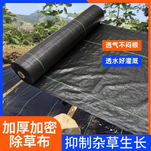 工厂直销除草布防草布加厚农用盖草透气透水保湿果树茶园防草地布