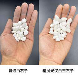 120斤白石子园林白色砾石白色鹅卵石阳台花园庭院造景白色石子