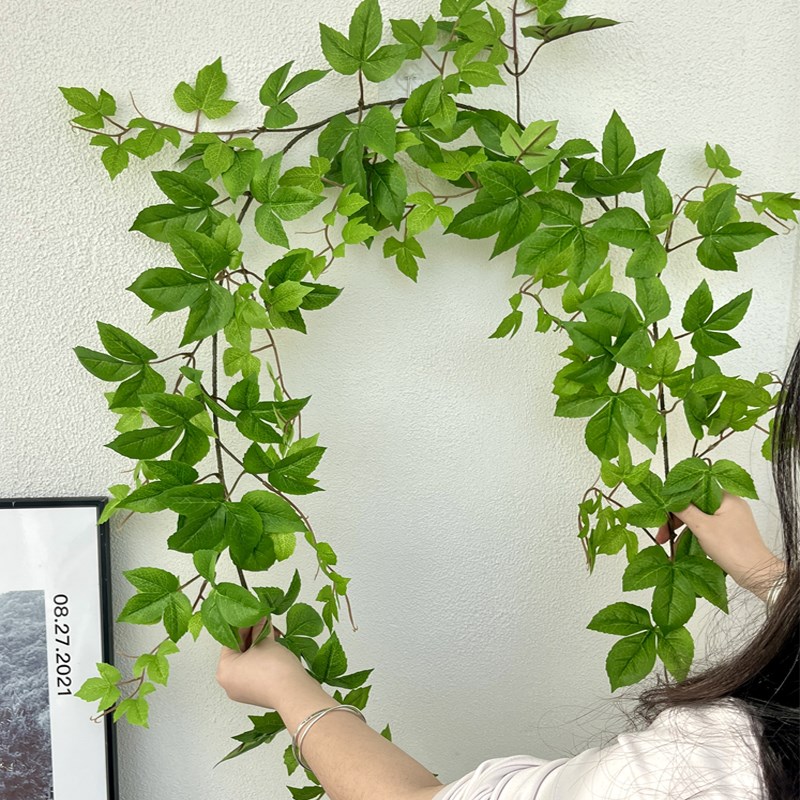 仿真枫叶藤条绿植物树叶子藤塑料空调假花水管道缠绕藤蔓吊顶装饰