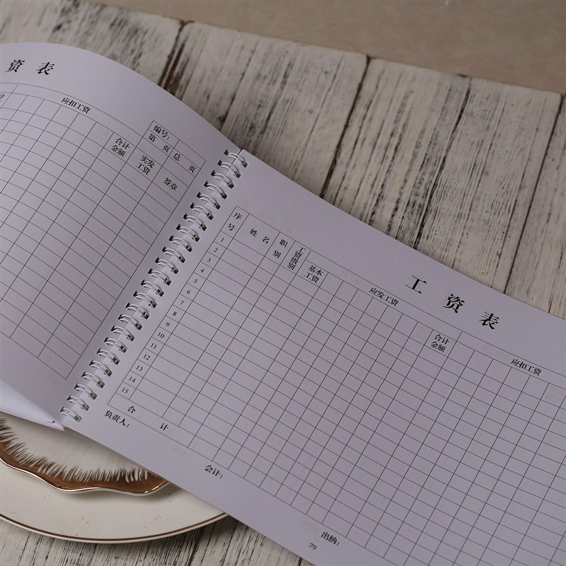 工资发放记录本员发放明细表财务部发放账本发放表工资发放结表本