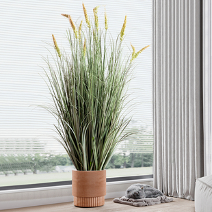 仿真狗尾草芦苇客厅假绿植室内家居落地装饰造景客厅